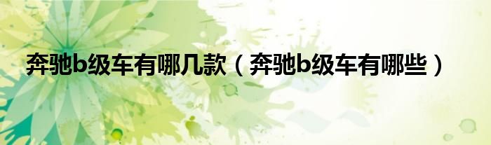 奔馳b級(jí)車(chē)有哪幾款（奔馳b級(jí)車(chē)有哪些）