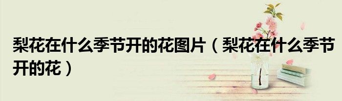 梨花在什么季節(jié)開(kāi)的花圖片（梨花在什么季節(jié)開(kāi)的花）