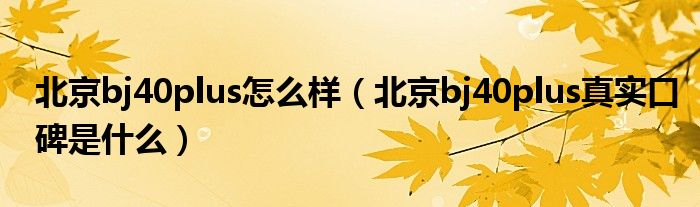 北京bj40plus怎么樣（北京bj40plus真實(shí)口碑是什么）