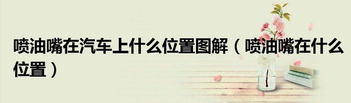 噴油嘴在汽車上什么位置圖解（噴油嘴在什么位置）