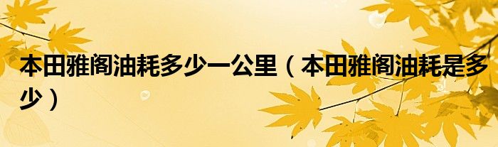 本田雅閣油耗多少一公里（本田雅閣油耗是多少）