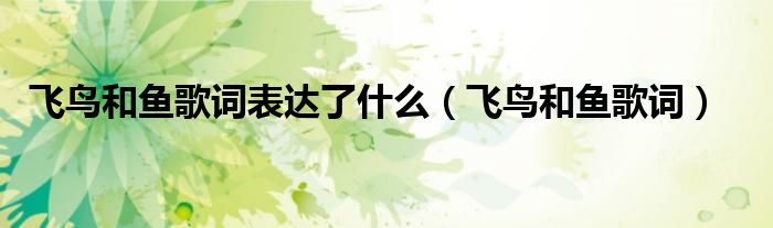 飛鳥和魚歌詞表達(dá)了什么（飛鳥和魚歌詞）