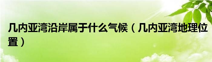 幾內(nèi)亞灣沿岸屬于什么氣候（幾內(nèi)亞灣地理位置）