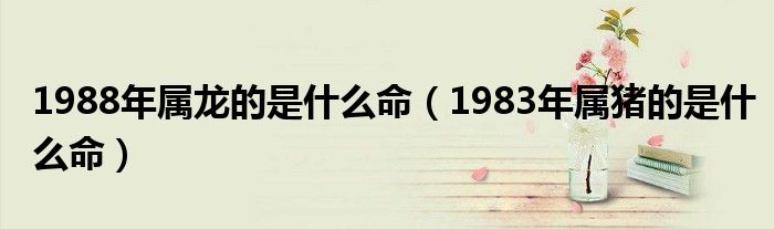 1988年屬龍的是什么命（1983年屬豬的是什么命）