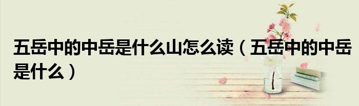 五岳中的中岳是什么山怎么讀（五岳中的中岳是什么）