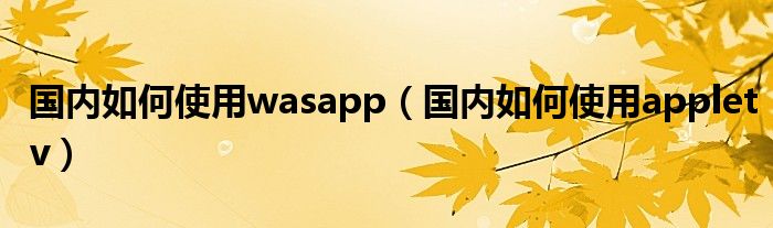 國內(nèi)如何使用wasapp（國內(nèi)如何使用appletv）