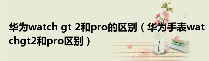 華為watch gt 2和pro的區(qū)別（華為手表watchgt2和pro區(qū)別）