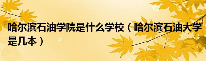 哈爾濱石油學(xué)院是什么學(xué)校（哈爾濱石油大學(xué)是幾本）