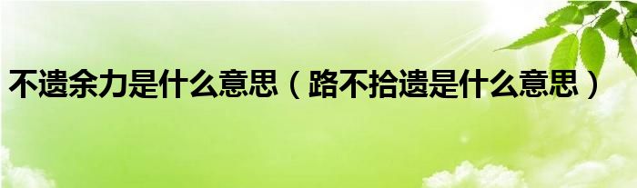 不遺余力是什么意思（路不拾遺是什么意思）