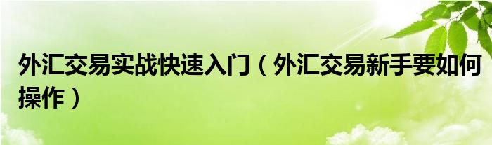 外匯交易實(shí)戰(zhàn)快速入門（外匯交易新手要如何操作）