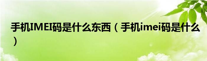 手機IMEI碼是什么東西（手機imei碼是什么）