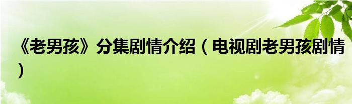 《老男孩》分集劇情介紹（電視劇老男孩劇情）