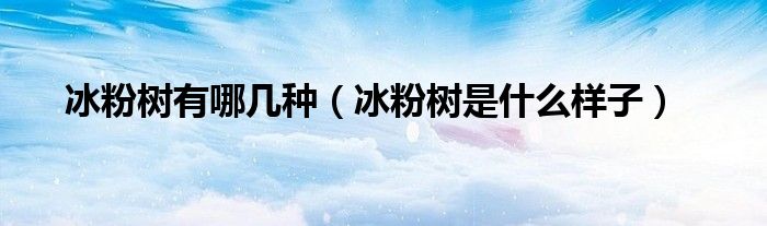 冰粉樹有哪幾種（冰粉樹是什么樣子）