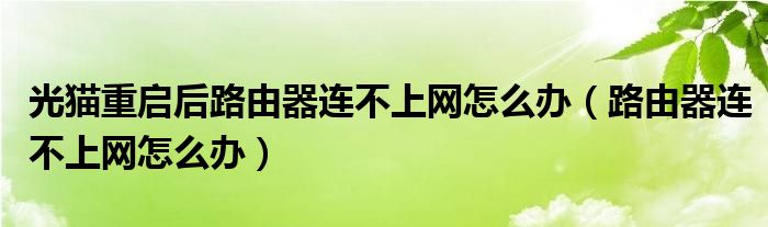 光貓重啟后路由器連不上網(wǎng)怎么辦（路由器連不上網(wǎng)怎么辦）