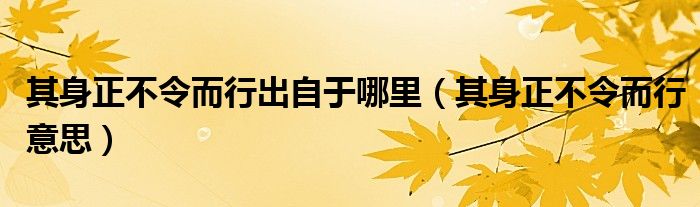 其身正不令而行出自于哪里（其身正不令而行意思）