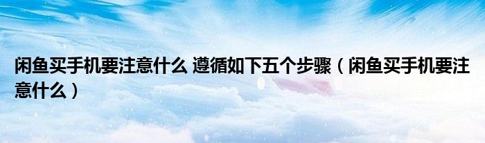 閑魚買手機(jī)要注意什么 遵循如下五個(gè)步驟（閑魚買手機(jī)要注意什么）