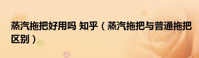 蒸汽拖把好用嗎 知乎（蒸汽拖把與普通拖把區(qū)別）