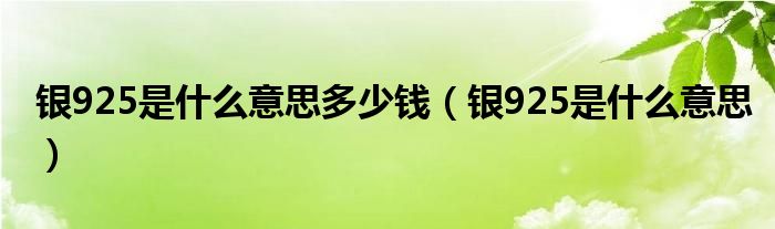 銀925是什么意思多少錢（銀925是什么意思）