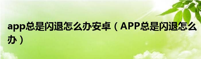 app總是閃退怎么辦安卓（APP總是閃退怎么辦）