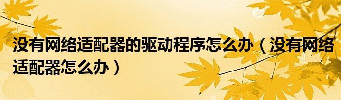 沒有網(wǎng)絡(luò)適配器的驅(qū)動程序怎么辦（沒有網(wǎng)絡(luò)適配器怎么辦）