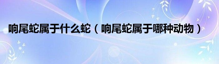 響尾蛇屬于什么蛇（響尾蛇屬于哪種動(dòng)物）