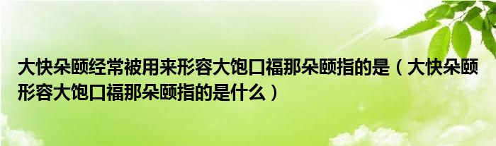 大快朵頤經(jīng)常被用來(lái)形容大飽口福那朵頤指的是（大快朵頤形容大飽口福那朵頤指的是什么）