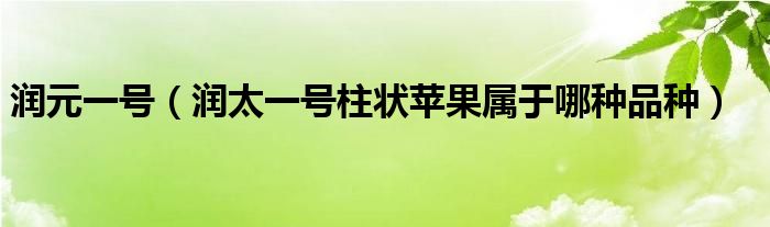 潤元一號（潤太一號柱狀蘋果屬于哪種品種）