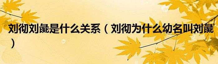 劉徹劉彘是什么關(guān)系（劉徹為什么幼名叫劉彘）