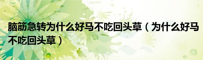 腦筋急轉(zhuǎn)為什么好馬不吃回頭草（為什么好馬不吃回頭草）