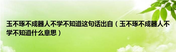 玉不琢不成器人不學不知道這句話出自（玉不琢不成器人不學不知道什么意思）