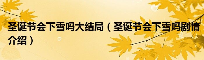 圣誕節(jié)會下雪嗎大結(jié)局（圣誕節(jié)會下雪嗎劇情介紹）