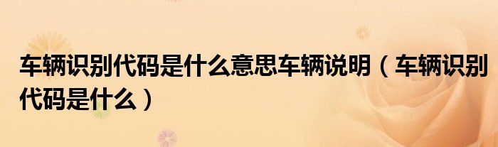 車輛識別代碼是什么意思車輛說明（車輛識別代碼是什么）