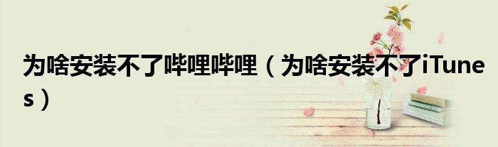 為啥安裝不了嗶哩嗶哩（為啥安裝不了iTunes）