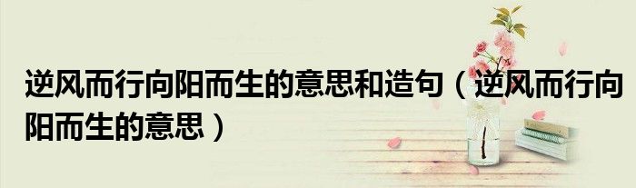 逆風(fēng)而行向陽而生的意思和造句（逆風(fēng)而行向陽而生的意思）