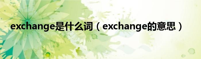 exchange是什么詞（exchange的意思）