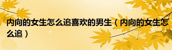 內(nèi)向的女生怎么追喜歡的男生（內(nèi)向的女生怎么追）