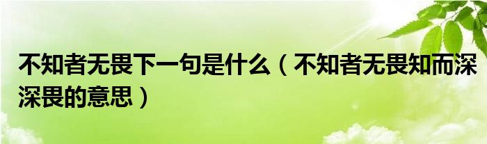 不知者無畏下一句是什么（不知者無畏知而深深畏的意思）