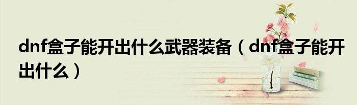 dnf盒子能開出什么武器裝備（dnf盒子能開出什么）
