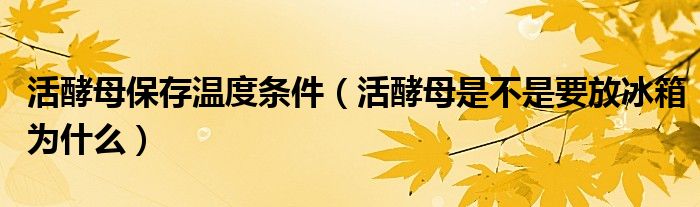 活酵母保存溫度條件（活酵母是不是要放冰箱為什么）