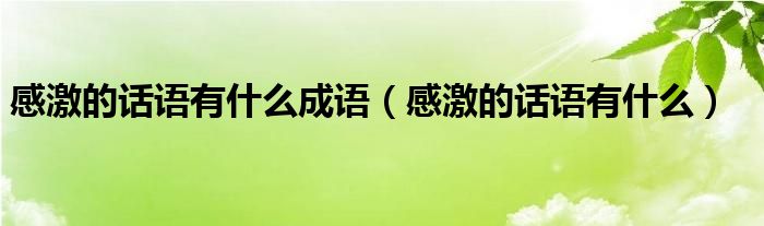 感激的話語有什么成語（感激的話語有什么）