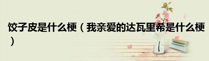 餃子皮是什么梗（我親愛的達瓦里希是什么梗）