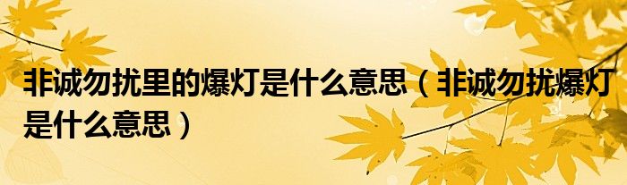非誠勿擾里的爆燈是什么意思（非誠勿擾爆燈是什么意思）