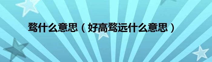 騖什么意思（好高騖遠(yuǎn)什么意思）