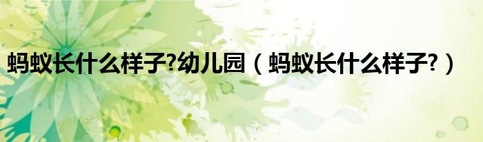 螞蟻長什么樣子?幼兒園（螞蟻長什么樣子?）