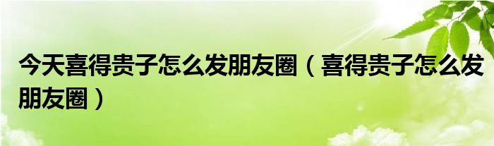 今天喜得貴子怎么發(fā)朋友圈（喜得貴子怎么發(fā)朋友圈）