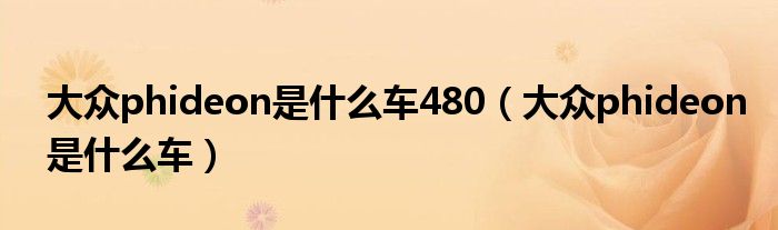 大眾phideon是什么車480（大眾phideon是什么車）