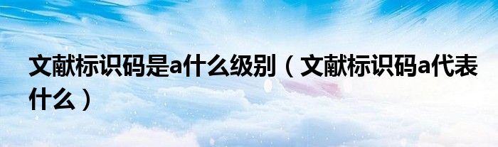 文獻(xiàn)標(biāo)識(shí)碼是a什么級(jí)別（文獻(xiàn)標(biāo)識(shí)碼a代表什么）