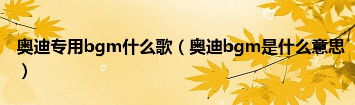 奧迪專用bgm什么歌（奧迪bgm是什么意思）