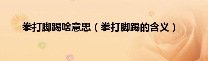 拳打腳踢啥意思（拳打腳踢的含義）