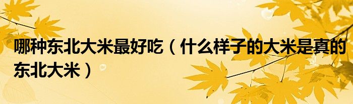 哪種東北大米最好吃（什么樣子的大米是真的東北大米）